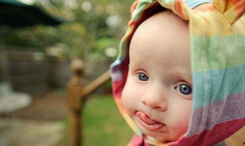 娱乐吃瓜酱花园宝宝,揭秘娱乐圈的甜蜜萌娃 第1张 娱乐吃瓜酱花园宝宝,揭秘娱乐圈的甜蜜萌娃 第1张