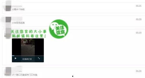 网友爆料视频来源于网络,网络视频揭露惊人真相! 第1张 网友爆料视频来源于网络,网络视频揭露惊人真相! 第1张