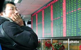 华人眼新闻爆料,揭秘事件背后惊人真相 第1张 华人眼新闻爆料,揭秘事件背后惊人真相 第1张