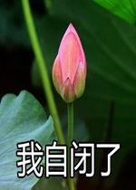 莲花一生最新爆料是真的吗,真相揭秘,是真是假引热议 第1张 莲花一生最新爆料是真的吗,真相揭秘,是真是假引热议 第1张